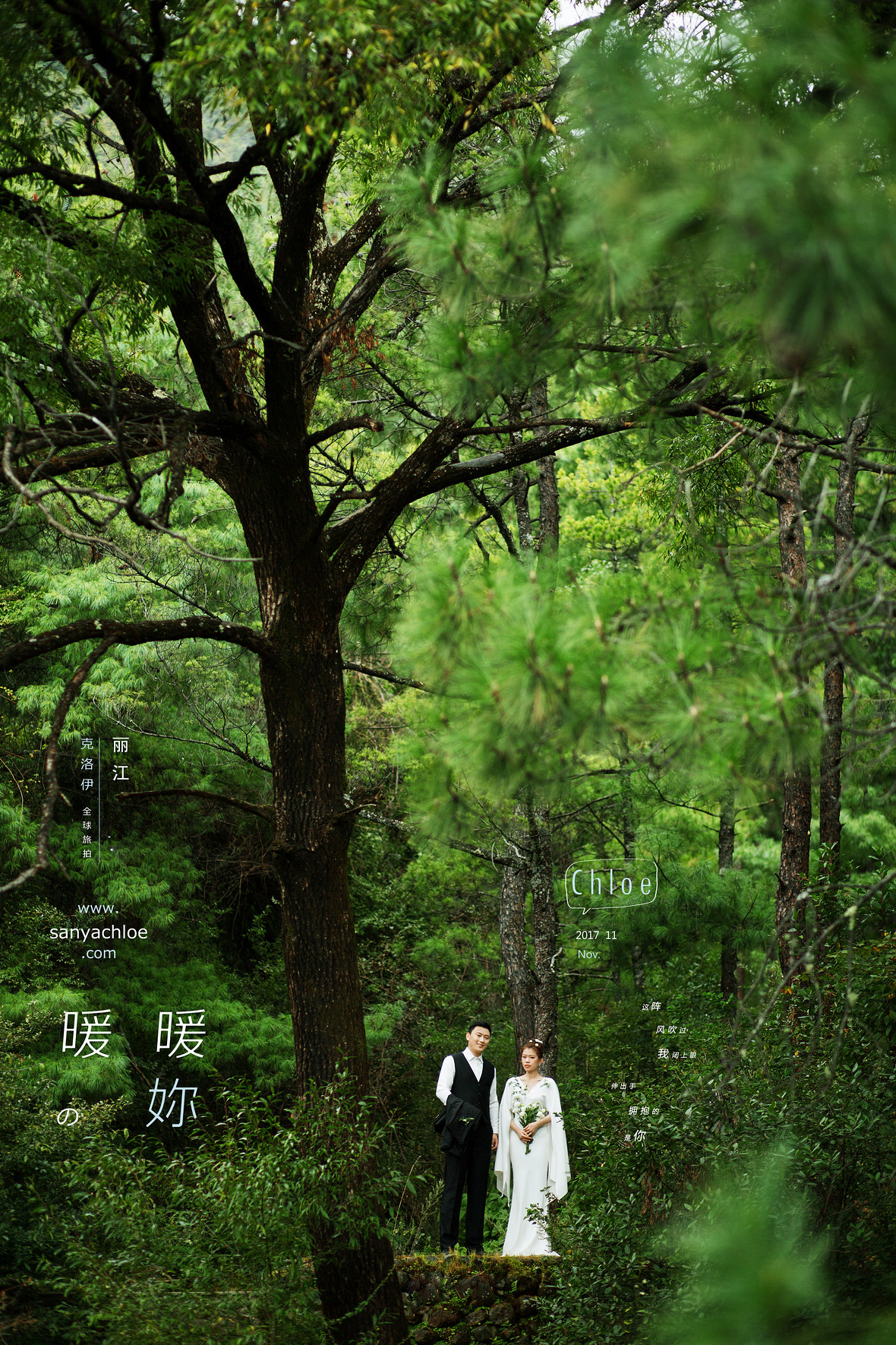 贾先生&舒女士