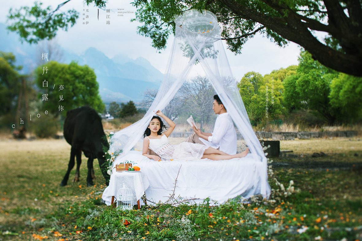 「煮茶赏花 拥抱自然」的婚纱照，才是真正的诗和远方